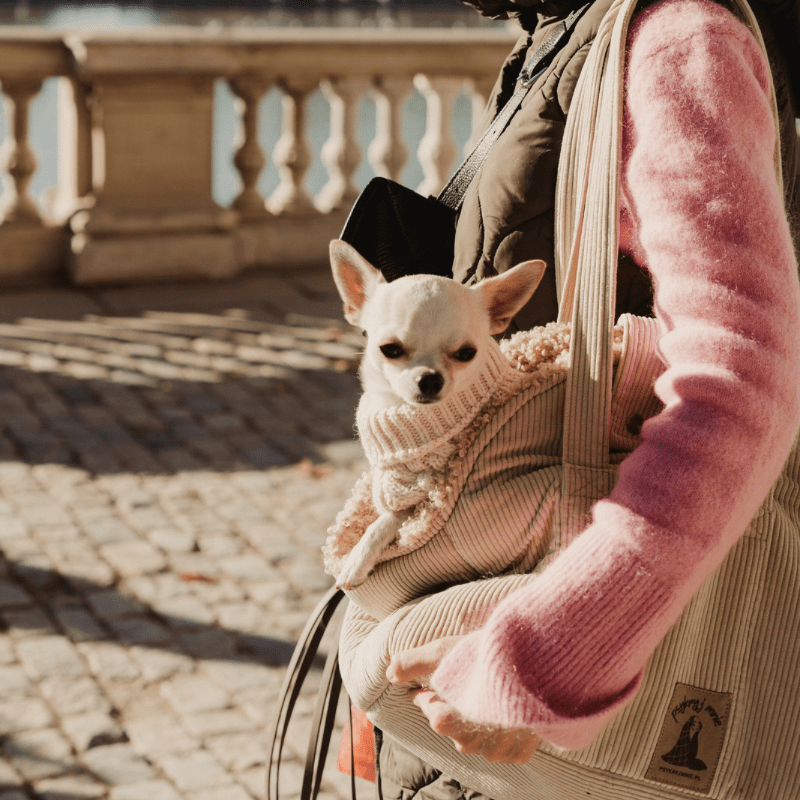 Torba podróżna dla psa xs - obrazek 2