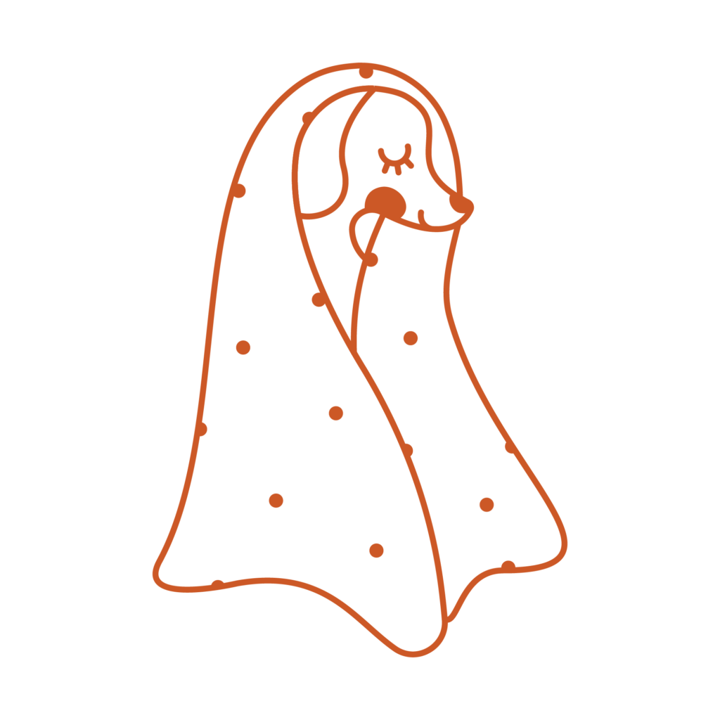 B2B Psykryjmnie – sklep partnerski