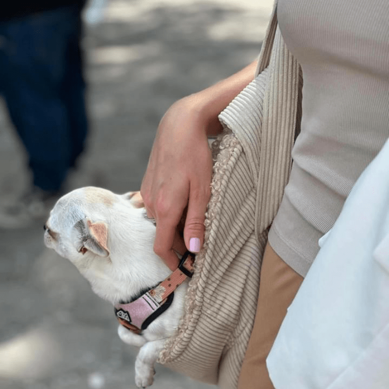 Torba podróżna dla psa xs - obrazek 11