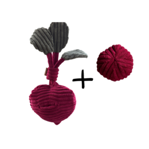 Zabawka węchowa Burak