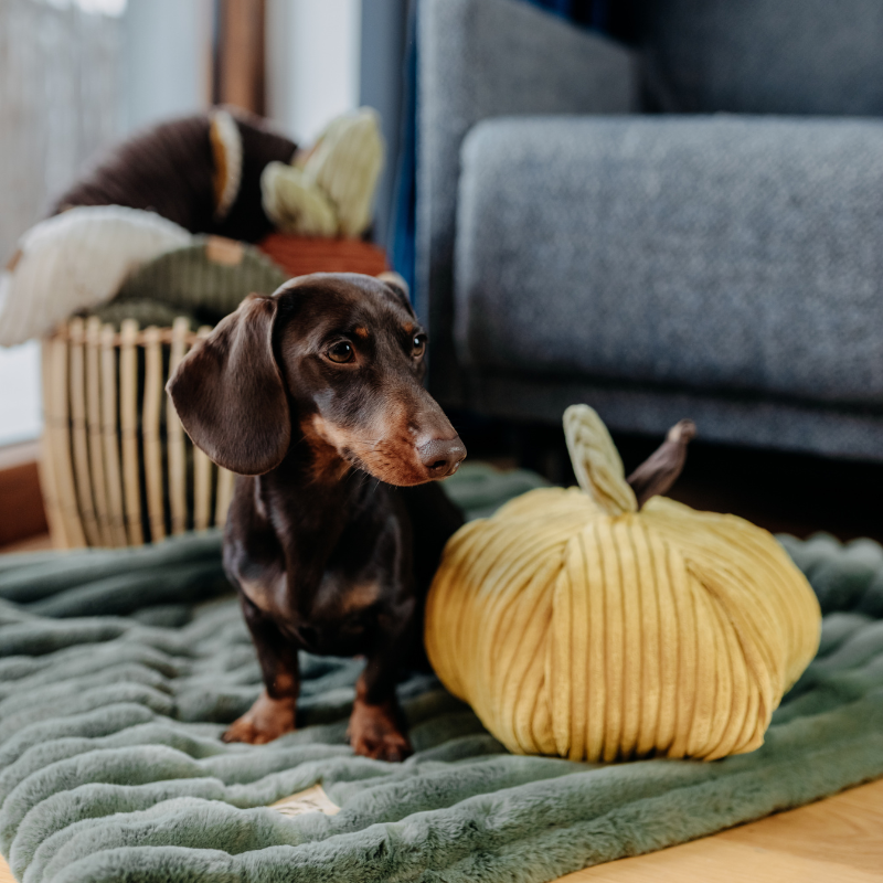 Zabawka węchowa Jabłko - obrazek 3