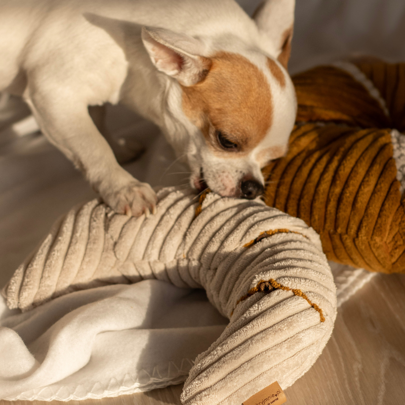 Zabawka węchowa Rogalik z czekoladą - obrazek 2