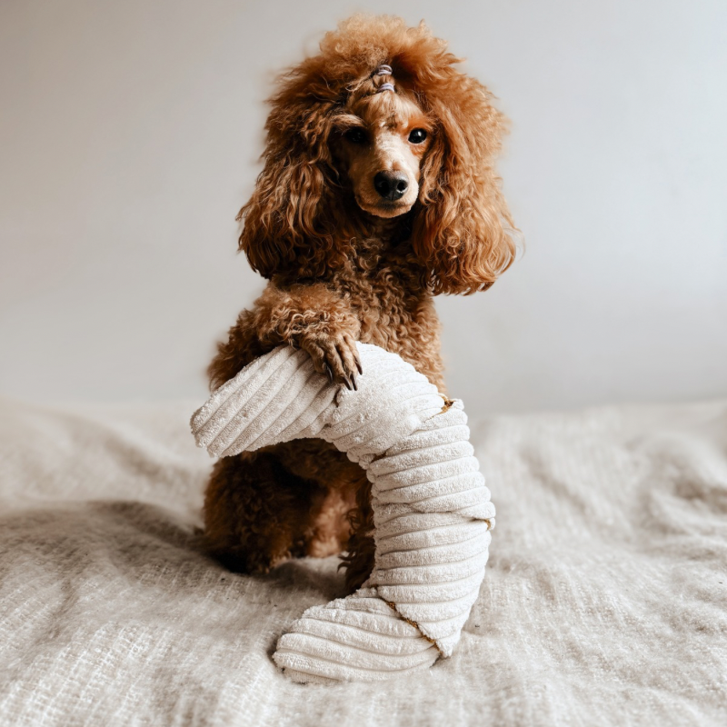 Zabawka węchowa Rogalik z czekoladą - obrazek 5