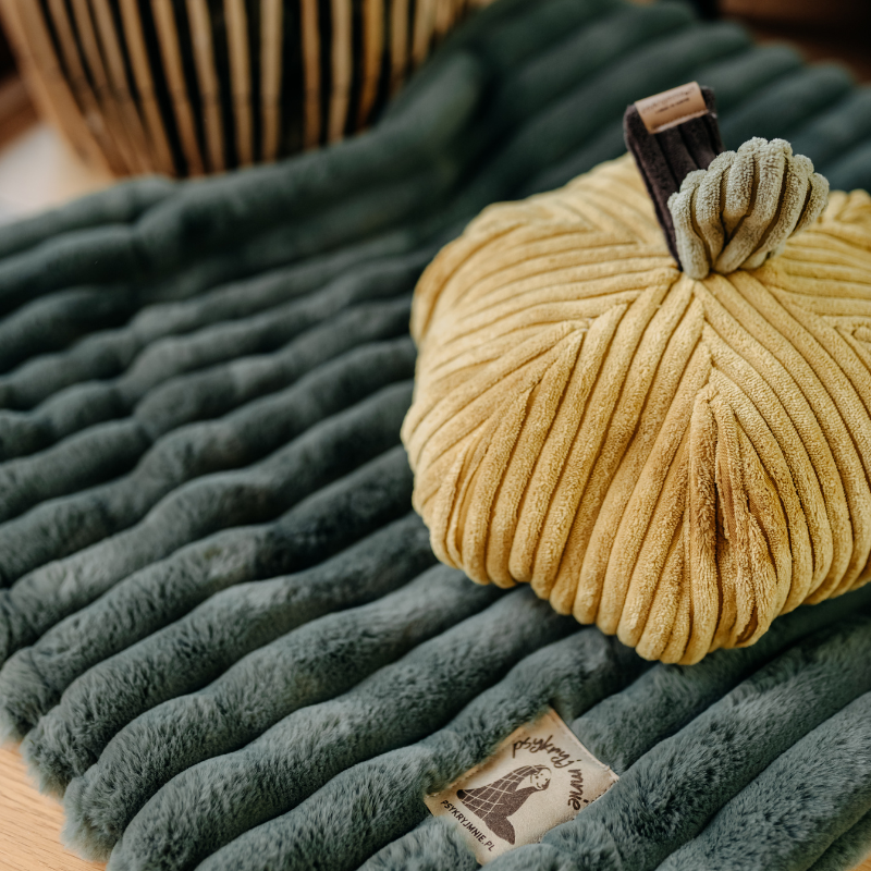 Zabawka węchowa Jabłko - obrazek 2