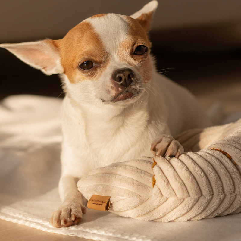 Zabawka węchowa Rogalik z czekoladą - obrazek 7